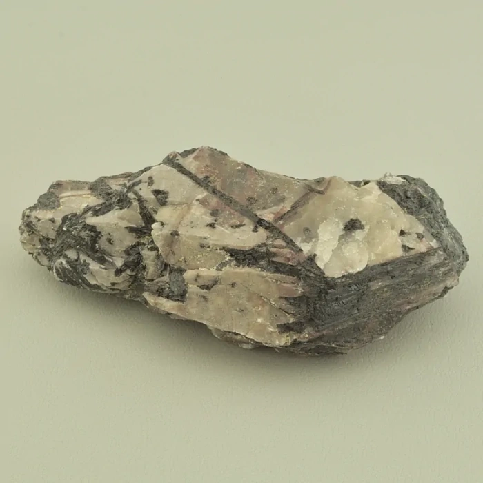 Шерл: Потужний захисник